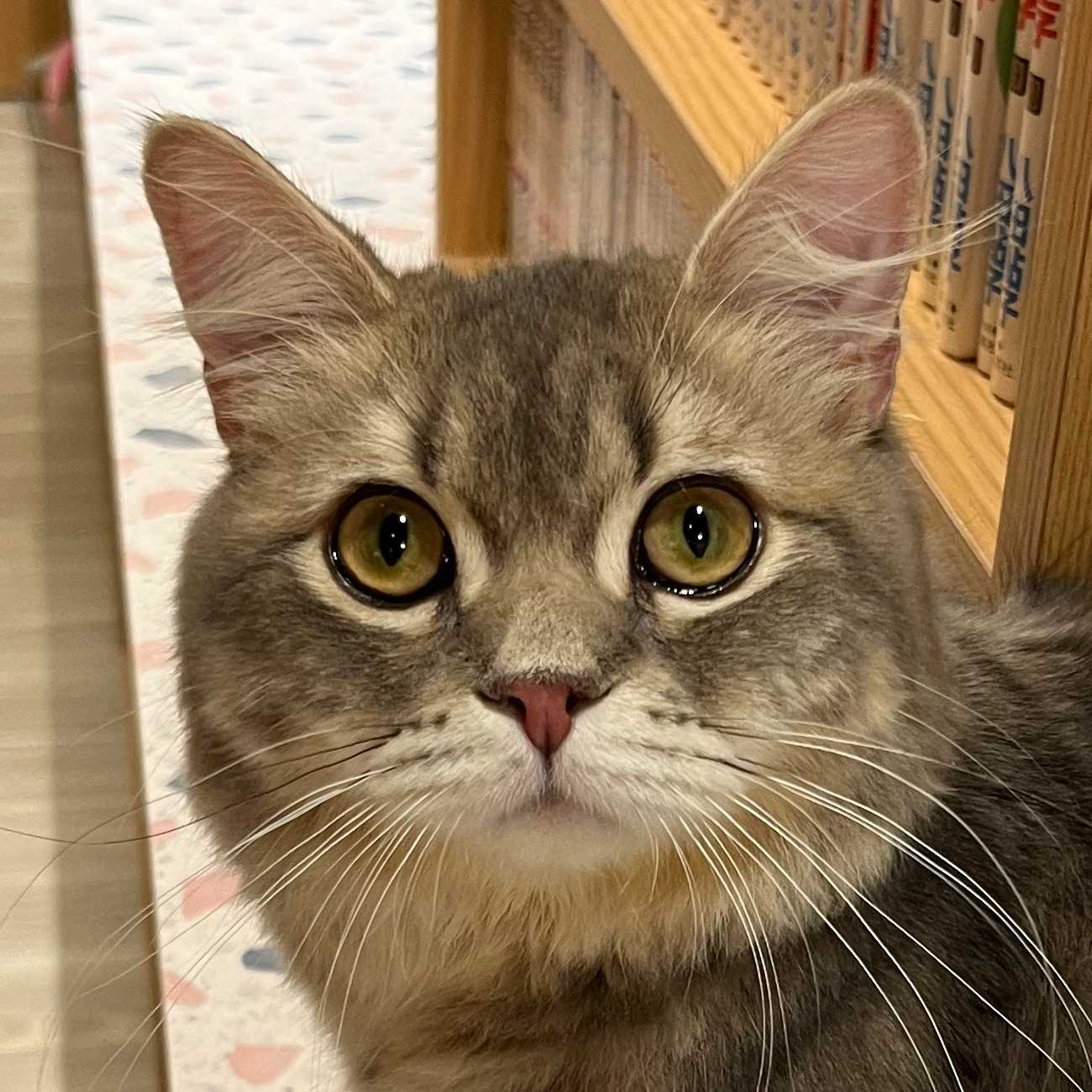 リオン